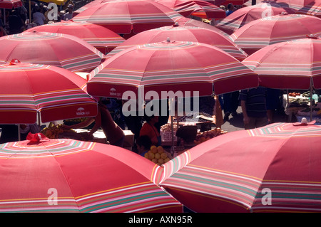 Red ombrelloni sul mercato Dolac a Zagabria in Croazia Foto Stock