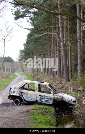 Bruciato e abbandonato auto nel fosso Foto Stock