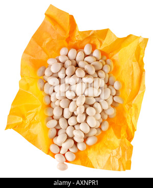 FAGIOLI BIANCHI Foto Stock