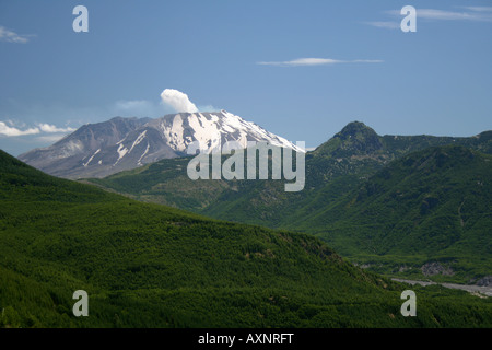 Un piccolo pennacchio di gas vulcanici e vapore sorge Monte Sant Helens su un giorno d'estate. Il Monte Sant Helens National Volcanic Monument Foto Stock