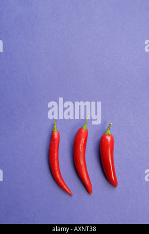 Peperoncino rosso Foto Stock