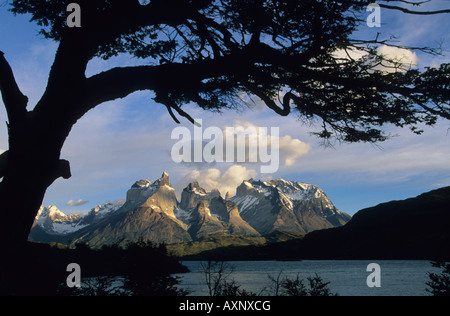 Il Cile, Parco Nazionale Torres del Paine, alba su Los Cuernos, corna, Lago Pehoe Foto Stock