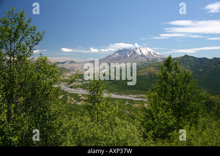 Un piccolo pennacchio di gas vulcanici e vapore sorge Monte Sant Helens su un giorno d'estate. Il Monte Sant Helens National Volcanic Monument Foto Stock