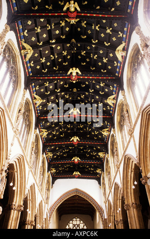 Intagliato e dorato gold angel tetto di legno navata St Mary Magdalene Church Taunton Somerset inglese architettura medievale England Regno Unito Foto Stock