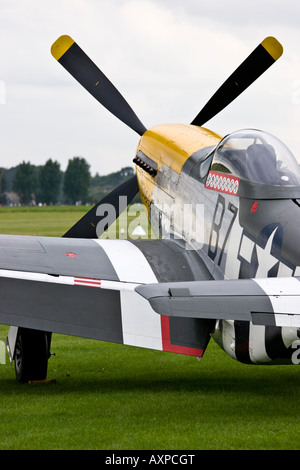 North American P51D Mustang a Goodwood Foto Stock