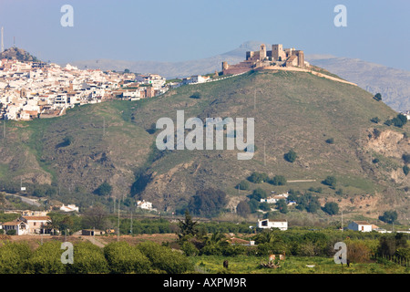 Vista attraverso gli uliveti a Alora entroterra Costa del Sol Malaga Provincia Spagna Foto Stock