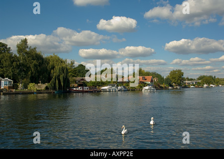 In Europa il Regno Unito Inghilterra Sunbury on Thames riverside riverscape Foto Stock
