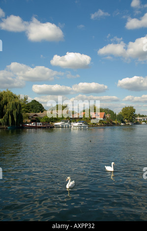 In Europa il Regno Unito Inghilterra Sunbury on Thames riverside riverscape Foto Stock