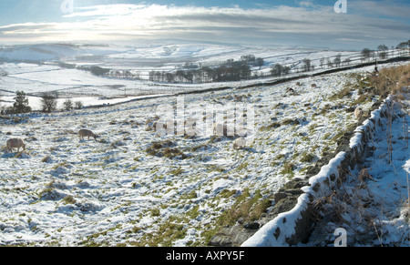 Guardando a sud dal bordo Rushup West Pennine delle Derbyshire England Regno Unito Regno Unito GB Gran Bretagna UE Unione Europea Foto Stock