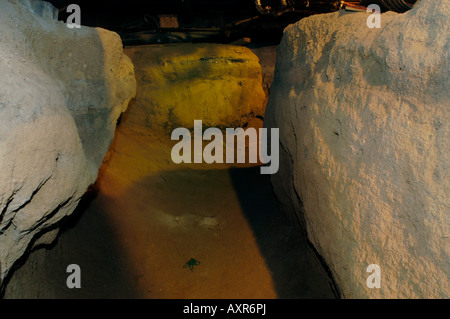 Underground Railroad tunnel Taverna Unionville Foto Stock