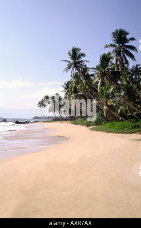 Sri Lanka Unawatuna spiaggia vuota Foto Stock