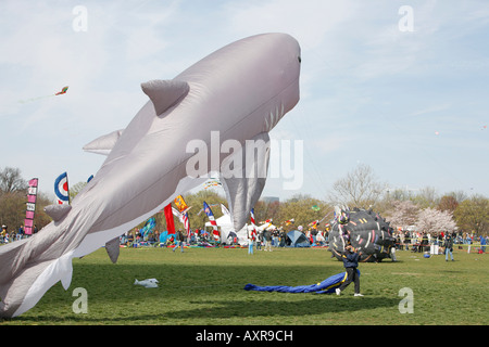 Il Kite Festival durante la fioritura dei ciliegi Festival vicino alla Casa Bianca, The Mall di Washington DC, Stati Uniti d'America Foto Stock