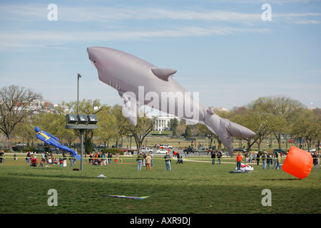 Il Kite Festival durante la fioritura dei ciliegi Festival vicino alla Casa Bianca, The Mall di Washington DC, Stati Uniti d'America Foto Stock