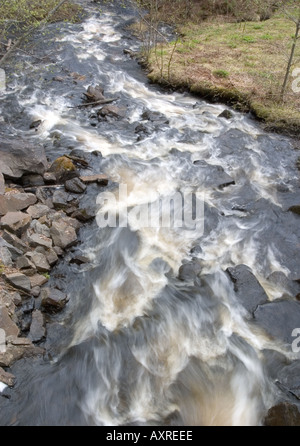 Rapide in un piccolo torrente a Spring, Finlandia Foto Stock