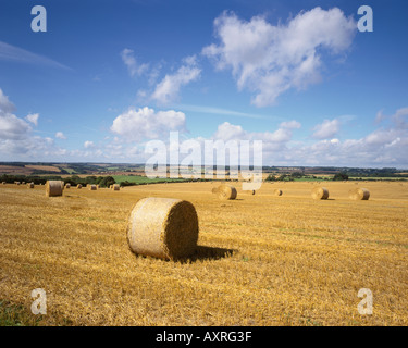 Tempo del raccolto in Cotswolds vicino Northleach Foto Stock