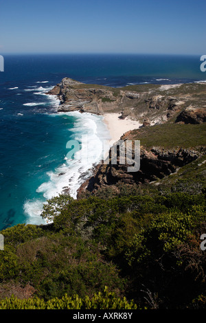 La spettacolare costa visto da cape point in Città del Capo Western Cape Province sud africa Foto Stock