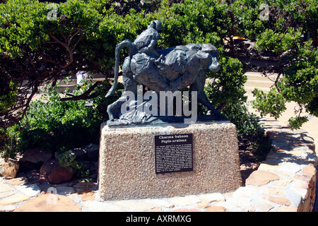 La scultura di un babbuino chacma cape point parte del parco nazionale di Table Mountain cape town Western Cape Province sud africa Foto Stock