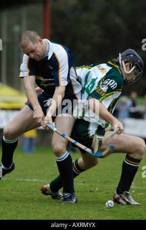 Azione di centrocampo da un Shinty hockey irlandese corrispondono Foto Stock