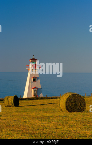 Balle di fieno in campo con Cape Tryon faro, Prince Edward Island, Canada Foto Stock