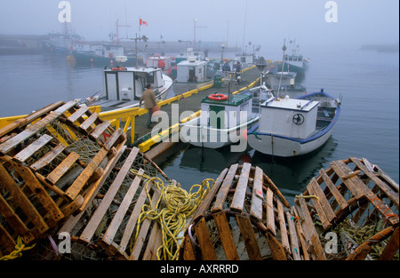 Le trappole a base di aragosta e barche da pesca San spose, Terranova e Labrador, Canada Foto Stock