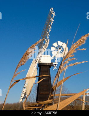 Pompa a vento di drenaggio di Priory Mill, St. Olaves, River Waveney, Norfolk, Inghilterra, Regno Unito Foto Stock