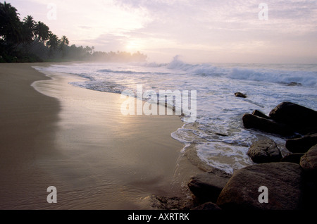 Sri Lanka Unawatuna spiaggia vuota all'alba Foto Stock