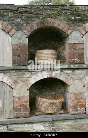 Orticoltura. BEE BOLES. Il Lost Gardens of Heligan Cornwall Inghilterra UK Europa Foto Stock