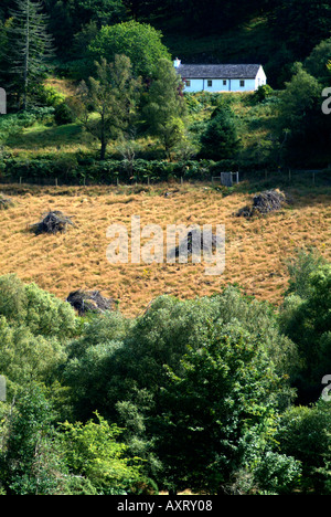 Cottage di campagna Glendalough Irlanda Foto Stock