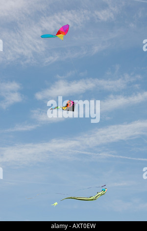 Aquiloni battenti contro il cielo blu, The Mall di Washington DC, Stati Uniti d'America Foto Stock