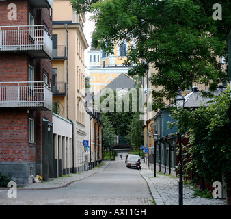 Una stretta strada di ciottoli rivestiti con alberi Foto Stock