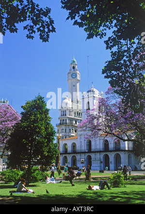 Il Cabildo e Torre dell Orologio a Plaza de Mayo con persone su erba sotto alberi di jacaranda in Buenos Aires Foto Stock