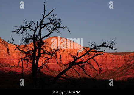 Vista al tramonto di rocce rosse e MUNDS Mountain Wilderness da Bell Rock percorso in Sedona in Arizona USA Foto Stock