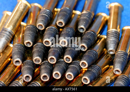 22 conchiglie Foto Stock