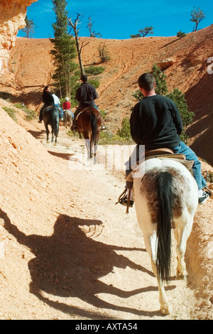 Equitazione Bryce Canyon dello Utah Foto Stock