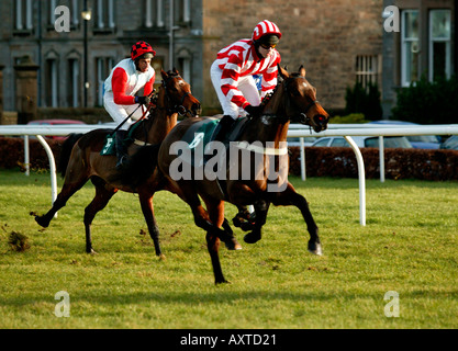 Corse di cavalli a Musselburgh race course East Lothian Scotland Regno Unito 2005 Foto Stock