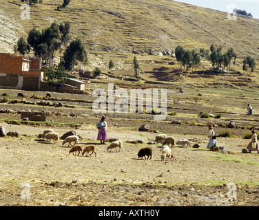 Geografia / viaggi, Bolivia, paesaggi, paesaggio con capanne di fango su Suriqui isola, nei pressi del lago Titicaca, donne con pecora SOAM, Foto Stock