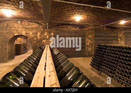 Cantine di stagionatura di cava in bottiglie Sant Sadurni de Anoia Penedes regione nr barcellona catalogna Spagna Foto Stock