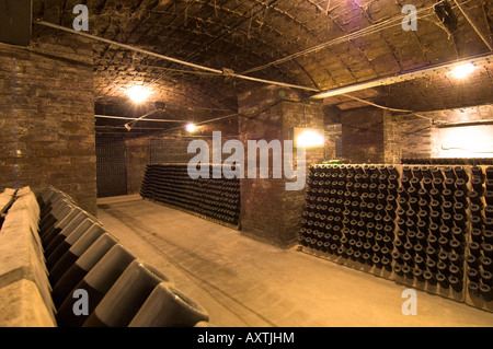 Cantine di stagionatura di cava in bottiglie Sant Sadurni de Anoia Penedes regione nr barcellona catalogna Spagna Foto Stock