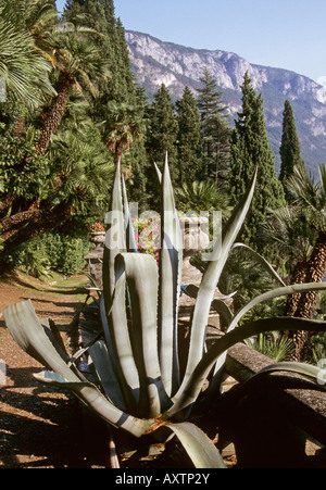 VILLA MONASTERO giardini a VARENNA LECCO SUL LAGO DI COMO ITALIA Foto Stock