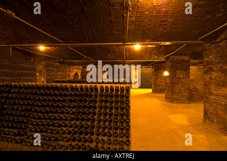 Cantine di stagionatura di cava in bottiglie Sant Sadurni de Anoia Penedes regione nr barcellona catalogna Spagna Foto Stock