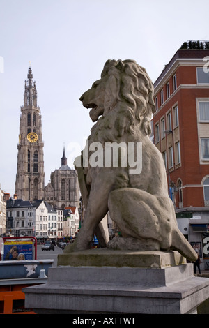 Leone di pietra statua con la Cattedrale di Nostra Signora di Anversa, in background. Il Belgio. Cattedrale di nome locale è: Onze Lieve Vrouwkerk Foto Stock