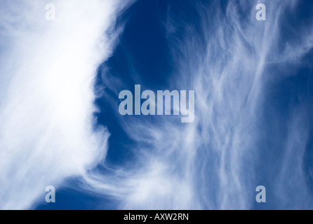 Il cielo blu con bianco ad alta nuvole Foto Stock