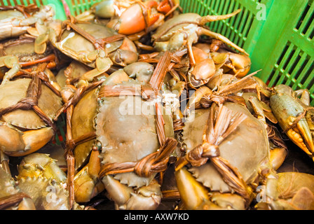 Centro Tekka Little India fishmarket mercato del pesce a Singapore il mercato bagnato la vendita di frutta e verdura fresca carne pesce spezie cibo Foto Stock