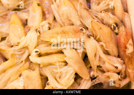 Centro Tekka Little India fishmarket mercato del pesce a Singapore il mercato bagnato la vendita di frutta e verdura fresca carne pesce spezie cibo Foto Stock