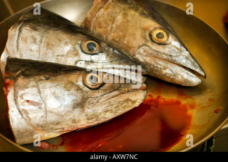 Centro Tekka Little India fishmarket mercato del pesce a Singapore il mercato bagnato la vendita di frutta e verdura fresca carne pesce spezie cibo Foto Stock