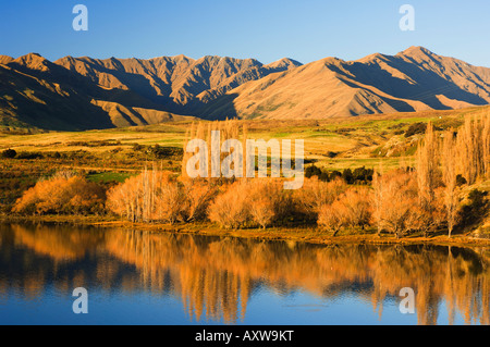 Glendhu Bay, il lago Wanaka, Wanaka di Central Otago, South Island, in Nuova Zelanda, Pacific Foto Stock