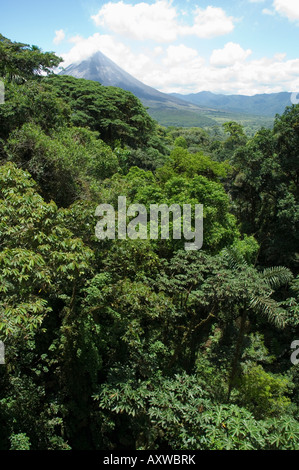 La foresta pluviale vegitation, ponti sospesi a piedi, Arenal, Costa Rica Foto Stock