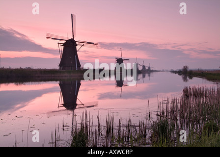 Mulini a vento a Kinderdijk all'alba, vicino a Rotterdam, Olanda, Paesi Bassi Foto Stock