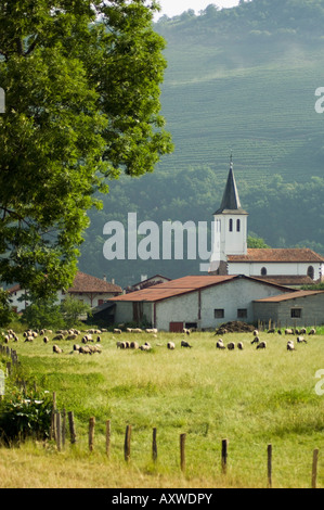 Campagna vicino a Saint Jean Pied de Port (San-Jean-Pied-de-Port), Paese Basco, Pyrenees-Atlantiques, Aquitaine, Francia Foto Stock