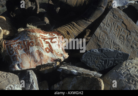 Buddista Tibetana mani pietre scolpite e yak cranio con incisa la preghiera altopiano Tibetano Tibet Cina Foto Stock